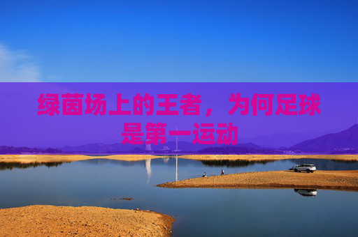 绿茵场上的王者，为何足球是第一运动