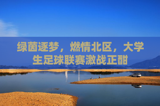 绿茵逐梦，燃情北区，大学生足球联赛激战正酣