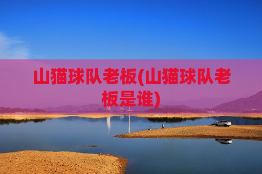 山猫球队老板(山猫球队老板是谁)
