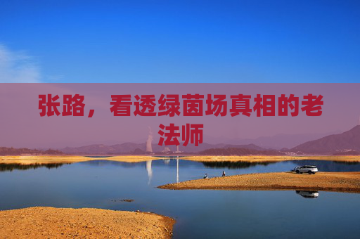 张路,看透绿茵场真相的老法师