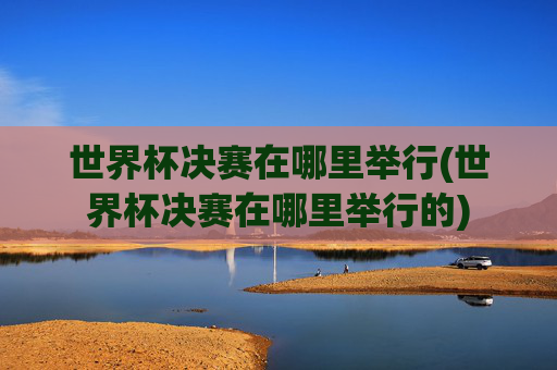 世界杯决赛在哪里举行(世界杯决赛在哪里举行的)