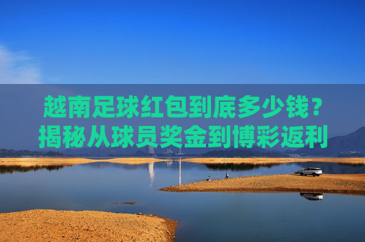 越南足球红包到底多少钱?揭秘从球员奖金到博彩返利的真实内幕