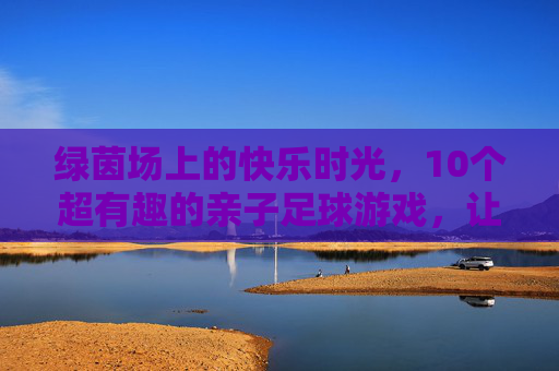 绿茵场上的快乐时光，10个超有趣的亲子足球游戏，让父子/母女关系升温！