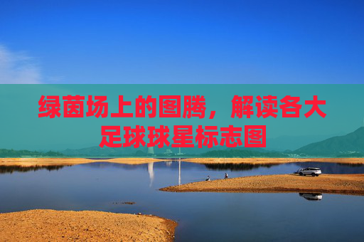 绿茵场上的图腾，解读各大足球球星标志图