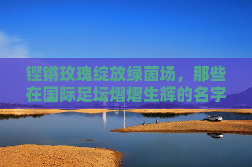 铿锵玫瑰绽放绿茵场,那些在国际足坛熠熠生辉的名字