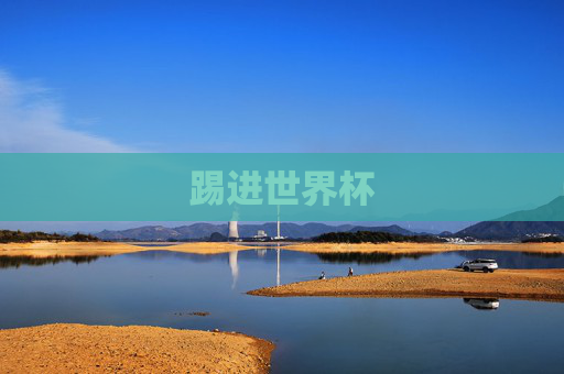 踢进世界杯
