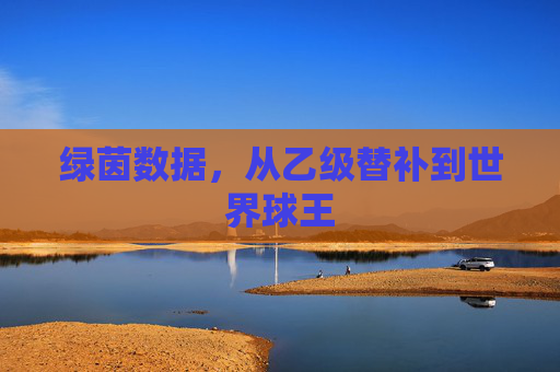 绿茵数据，从乙级替补到世界球王
