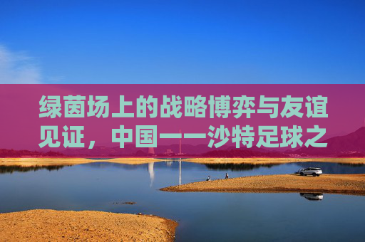 绿茵场上的战略博弈与友谊见证，中国一一沙特足球之战