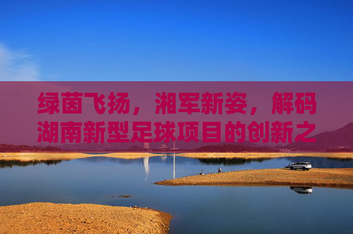 绿茵飞扬，湘军新姿，解码湖南新型足球项目的创新之路