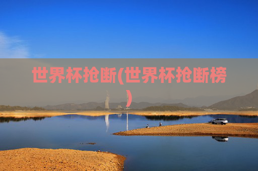世界杯抢断(世界杯抢断榜)