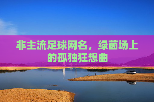 非主流足球网名,绿茵场上的孤独狂想曲