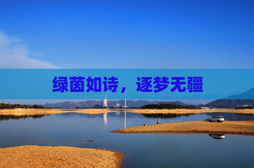 绿茵如诗,逐梦无疆