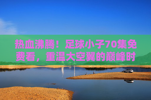 热血沸腾！足球小子70集免费看，重温大空翼的巅峰时刻