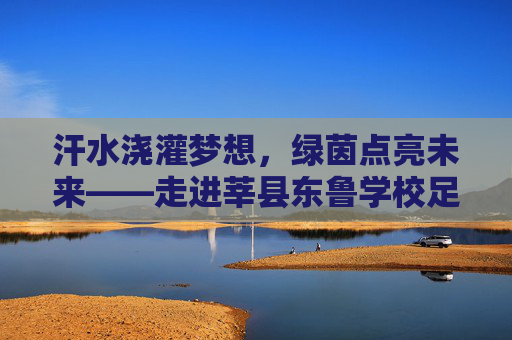 汗水浇灌梦想，绿茵点亮未来——走进莘县东鲁学校足球场