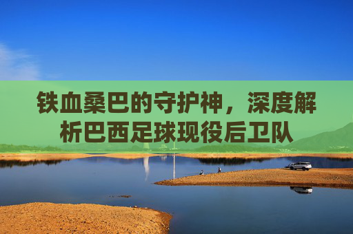 铁血桑巴的守护神,深度解析巴西足球现役后卫队