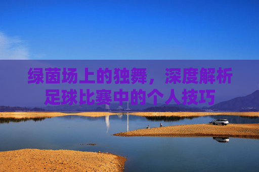 绿茵场上的独舞，深度解析足球比赛中的个人技巧