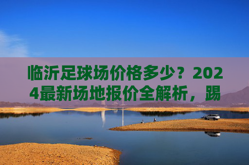 临沂足球场价格多少?2024最新场地报价全解析,踢球党必看