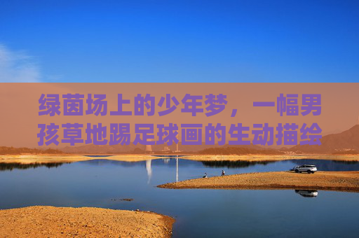 绿茵场上的少年梦，一幅男孩草地踢足球画的生动描绘