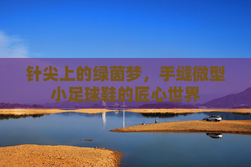 针尖上的绿茵梦，手缝微型小足球鞋的匠心世界
