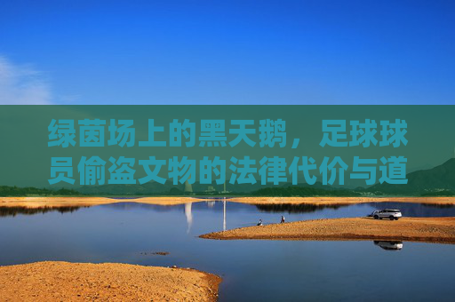 绿茵场上的黑天鹅，足球球员偷盗文物的法律代价与道德审视