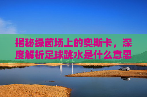 揭秘绿茵场上的奥斯卡，深度解析足球跳水是什么意思