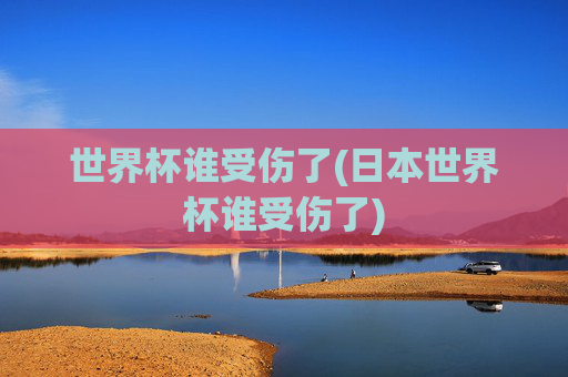 世界杯谁受伤了(日本世界杯谁受伤了)