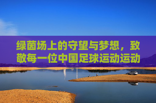 绿茵场上的守望与梦想,致敬每一位中国足球运动运动员