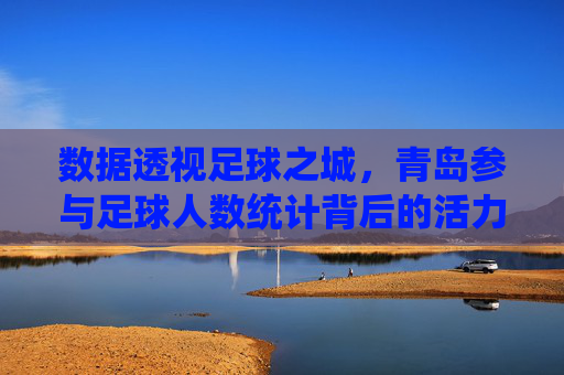数据透视足球之城,青岛参与足球人数统计背后的活力与趋势