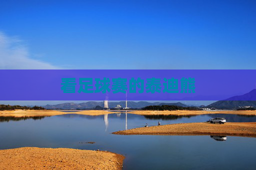 看足球赛的泰迪熊