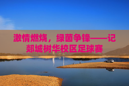 激情燃烧，绿茵争锋——记郯城树华校区足球赛