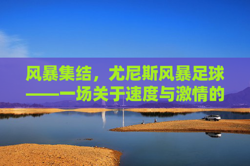 风暴集结，尤尼斯风暴足球——一场关于速度与激情的绿茵狂想