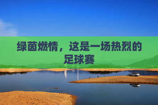 绿茵燃情,这是一场热烈的足球赛