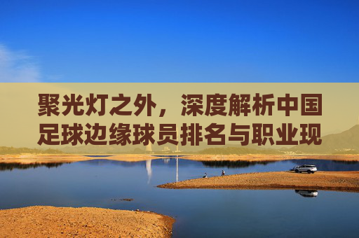 聚光灯之外,深度解析中国足球边缘球员排名与职业现状