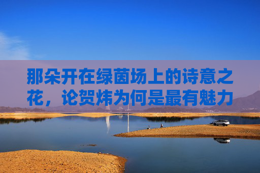 那朵开在绿茵场上的诗意之花，论贺炜为何是最有魅力的足球解说