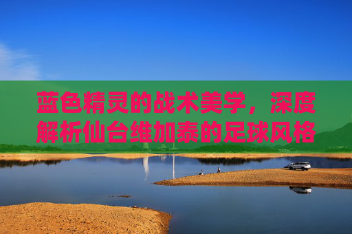 蓝色精灵的战术美学,深度解析仙台维加泰的足球风格