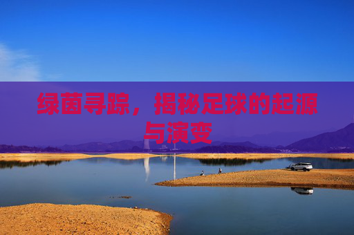 绿茵寻踪,揭秘足球的起源与演变