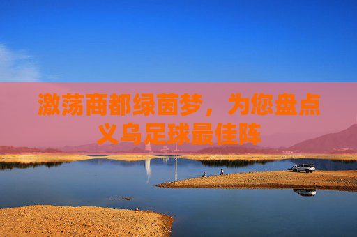 激荡商都绿茵梦，为您盘点义乌足球最佳阵