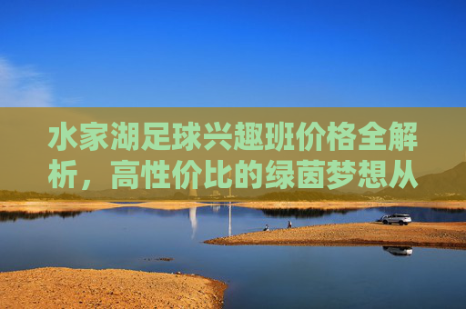 水家湖足球兴趣班价格全解析,高性价比的绿茵梦想从这里起航