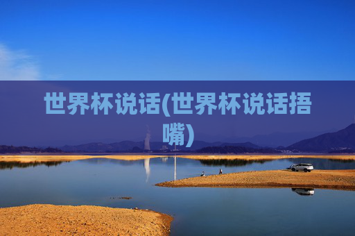 世界杯说话(世界杯说话捂嘴)