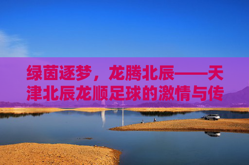 绿茵逐梦，龙腾北辰——天津北辰龙顺足球的激情与传承