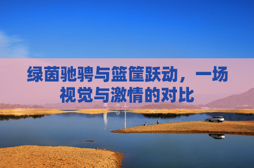 绿茵驰骋与篮筐跃动,一场视觉与激情的对比