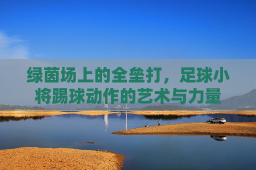 绿茵场上的全垒打，足球小将踢球动作的艺术与力量