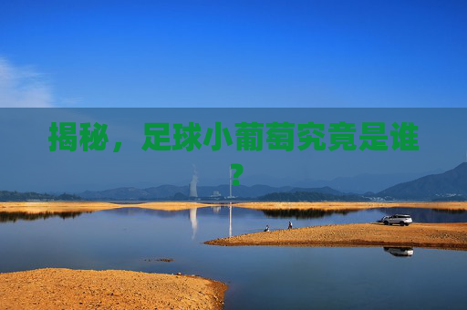揭秘，足球小葡萄究竟是谁？
