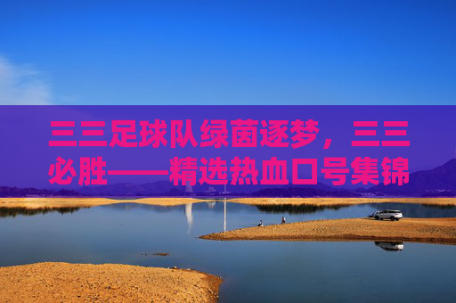 三三足球队绿茵逐梦,三三必胜——精选热血口号集锦