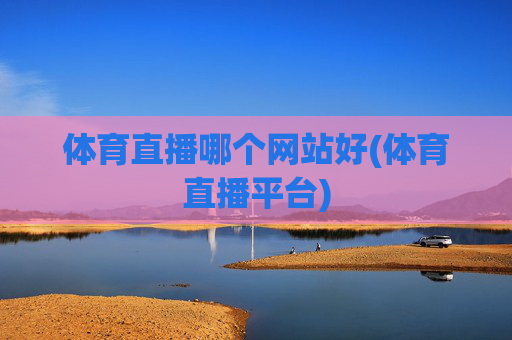 体育直播哪个网站好(体育直播平台)