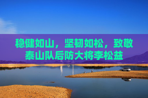 稳健如山，坚韧如松，致敬泰山队后防大将李松益