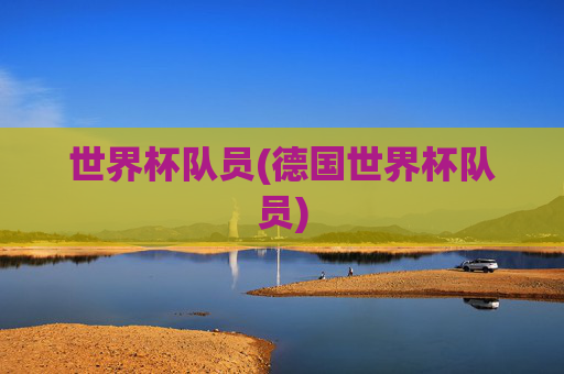 世界杯队员(德国世界杯队员)