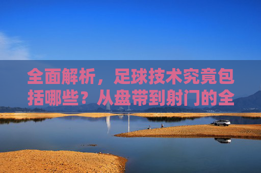 全面解析，足球技术究竟包括哪些？从盘带到射门的全方位解读