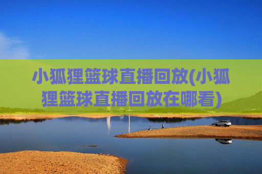 小狐狸篮球直播回放(小狐狸篮球直播回放在哪看)