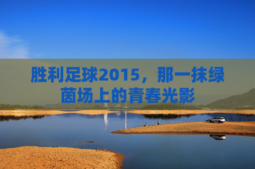 胜利足球2015，那一抹绿茵场上的青春光影